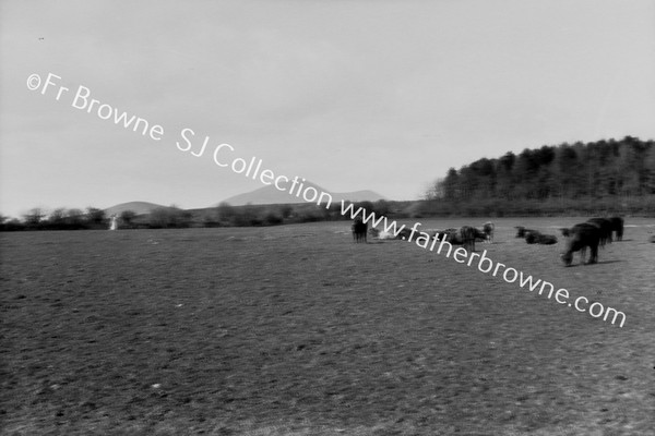 MELLERAY EASTER WEEK : KNOCKMEALDOWS SUMMIT FROM MONASTERY PASTURES